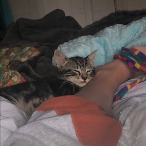 Meet your Posher, Marin